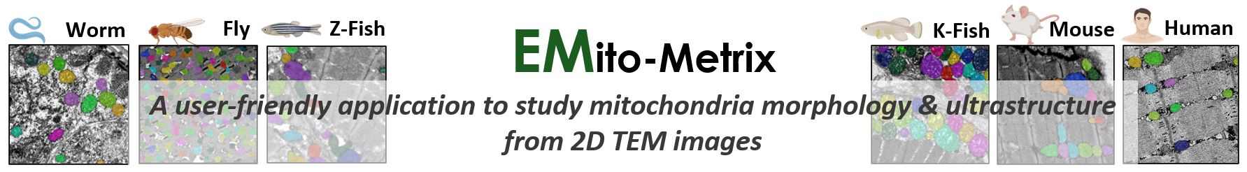 Emitometrix logo